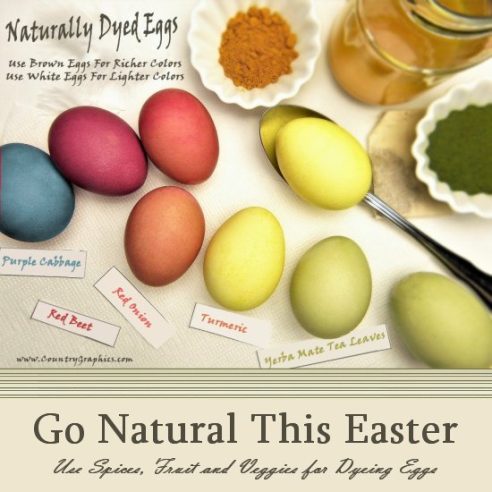 Old Fashioned Egg Dyeing – Family Fun Project